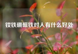 釹鐵硼磁鐵對人有什么好處