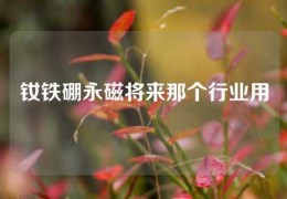 釹鐵硼永磁將來那個行業用