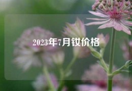 2023年7月釹價格