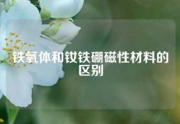 鐵氧體和釹鐵硼磁性材料的區別