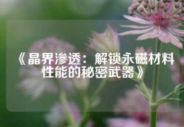 《晶界滲透：解鎖永磁材料性能的秘密武器》