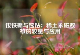 釹鐵硼與鉉鉆：稀土永磁雙雄的較量與應(yīng)用