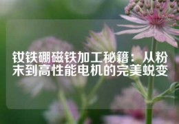 釹鐵硼磁鐵加工秘籍：從粉末到高性能電機(jī)的完美蛻變