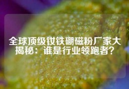 全球頂級釹鐵硼磁粉廠家大揭秘：誰是行業領跑者？