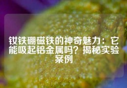 釹鐵硼磁鐵的神奇魅力：它能吸起鋁金屬嗎？揭秘實驗案例