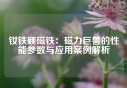 釹鐵硼磁鐵：磁力巨獸的性能參數(shù)與應(yīng)用案例解析