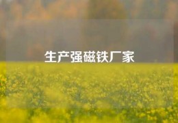 生產強磁鐵廠家