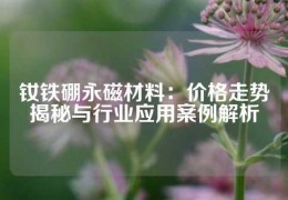 釹鐵硼永磁材料：價格走勢揭秘與行業(yè)應用案例解析