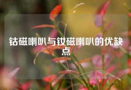 鈷磁喇叭與釹磁喇叭的優缺點