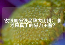 釹鐵硼磁鐵品牌大比拼：誰才是真正的磁力王者？