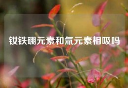 釹鐵硼元素和氚元素相吸嗎