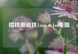 釹鐵硼磁鐵1mm×1m電阻