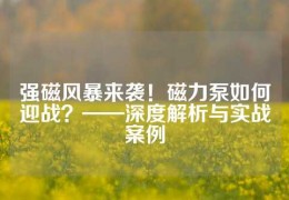 強磁風暴來襲！磁力泵如何迎戰？——深度解析與實戰案例