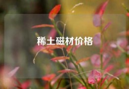 稀土磁材價格