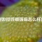例如釹鐵硼強(qiáng)磁怎么樣的
