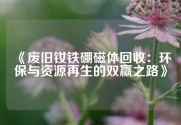 《廢舊釹鐵硼磁體回收：環保與資源再生的雙贏之路》