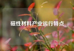 磁性材料產(chǎn)業(yè)運行特點