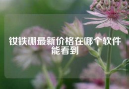 釹鐵硼最新價格在哪個軟件能看到