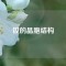 釹的晶胞結構