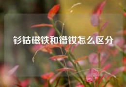 釤鈷磁鐵和鐠釹怎么區(qū)分