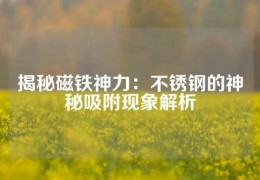 揭秘磁鐵神力：不銹鋼的神秘吸附現象解析