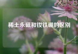 稀土永磁和釹鐵硼的區(qū)別