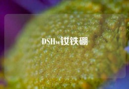 DSHw釹鐵硼