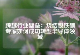 跨越行業(yè)壁壘：燒結(jié)釹鐵硼專家如何成功轉(zhuǎn)型半導體領(lǐng)域