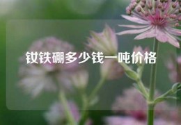 釹鐵硼多少錢一噸價格