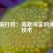 強(qiáng)磁打撈：海底尋寶的神奇技術(shù)