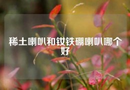 稀土喇叭和釹鐵硼喇叭哪個好