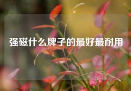 強(qiáng)磁什么牌子的最好最耐用