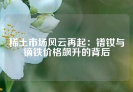 稀土市場風(fēng)云再起：鐠釹與鏑鐵價(jià)格飆升的背后