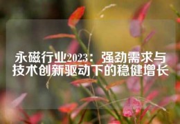 永磁行業2023：強勁需求與技術創新驅動下的穩健增長