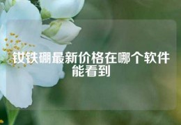 釹鐵硼最新價(jià)格在哪個(gè)軟件能看到