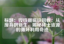 標(biāo)題：釹鐵硼磁鐵回收：從廢棄到新生，揭秘稀土資源的循環(huán)利用奇跡