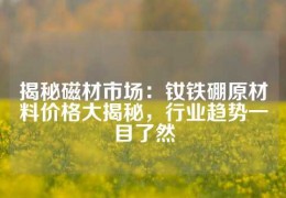 揭秘磁材市場(chǎng)：釹鐵硼原材料價(jià)格大揭秘，行業(yè)趨勢(shì)一目了然