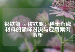 釤鐵氮 vs 釹鐵硼：稀土永磁材料的巔峰對決與應用案例解析