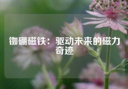 銣硼磁鐵：驅(qū)動未來的磁力奇跡