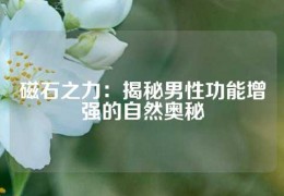 磁石之力：揭秘男性功能增強的自然奧秘