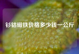 釤鈷磁鐵價格多少錢一公斤