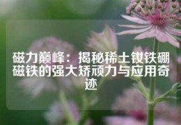 磁力巔峰：揭秘稀土釹鐵硼磁鐵的強大矯頑力與應用奇跡