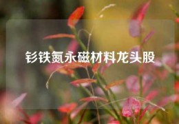 釤鐵氮永磁材料龍頭股