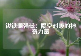 釹鐵硼強磁：隔空對吸的神奇力量