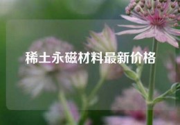 稀土永磁材料最新價格