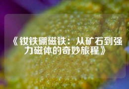 《釹鐵硼磁鐵：從礦石到強力磁體的奇妙旅程》