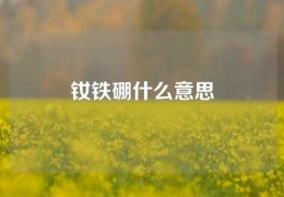 釹鐵硼什么意思