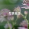 反鐵磁性