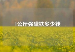 1公斤強(qiáng)磁鐵多少錢