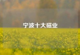寧波十大磁業(yè)